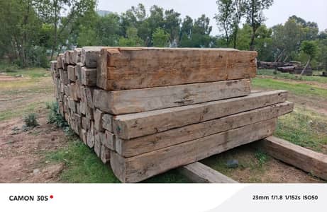 diyar wood
