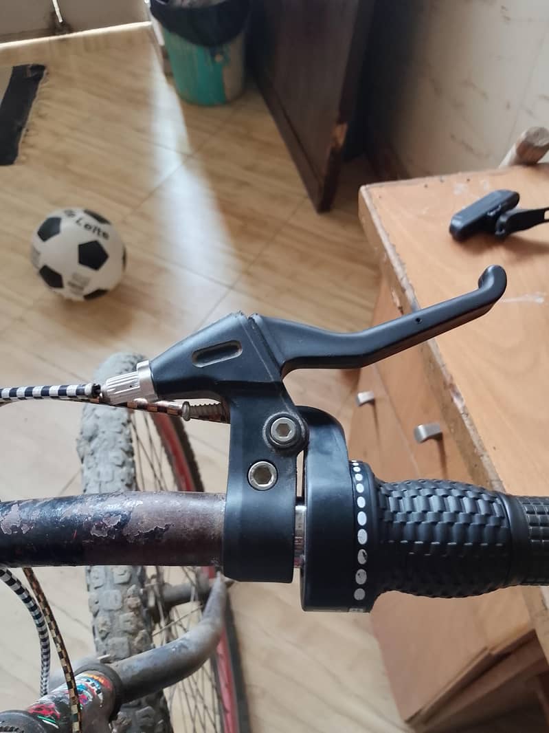 bicycle 2