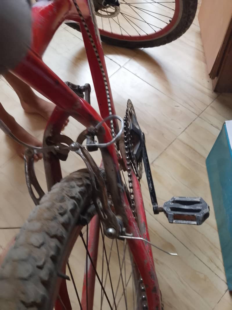 bicycle 3
