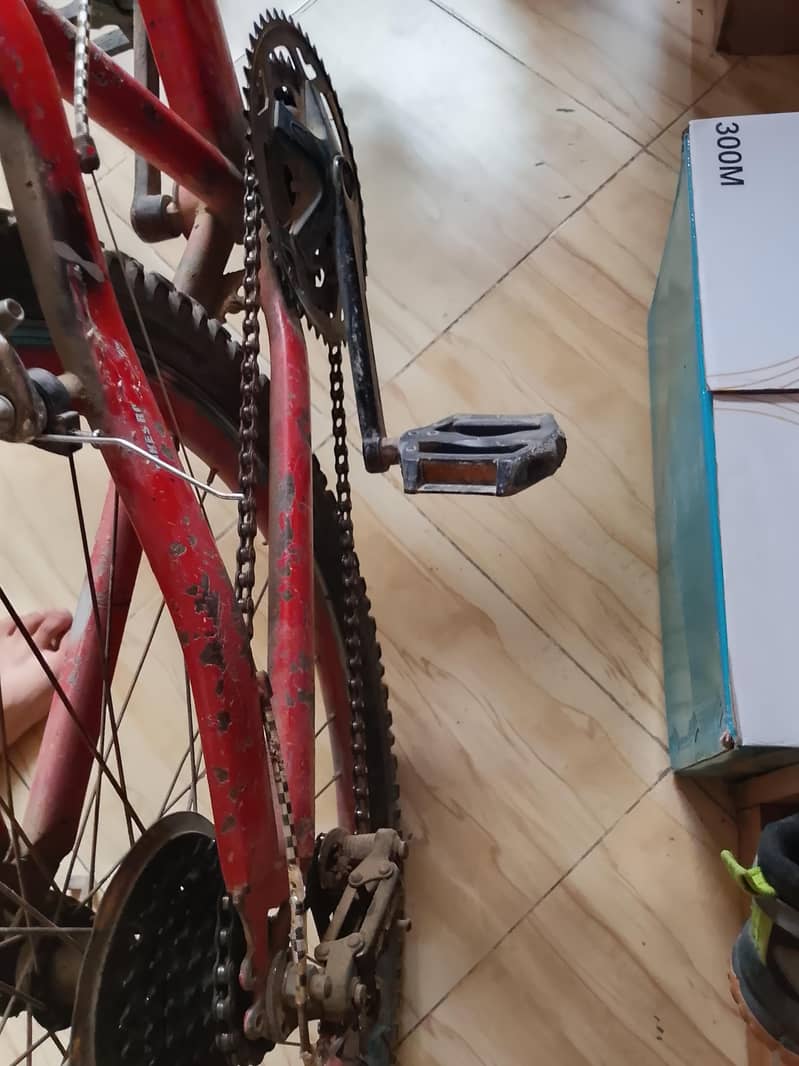 bicycle 4
