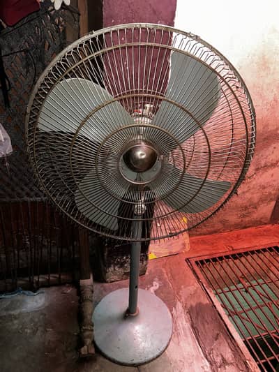 Pedestal Fan