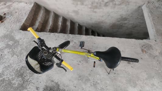 speed cycle