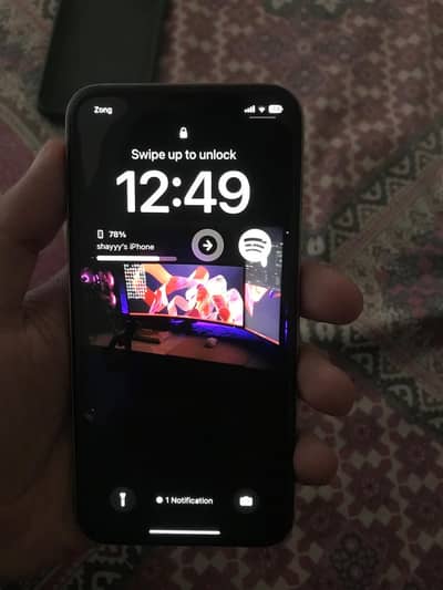 Apple iPhone X