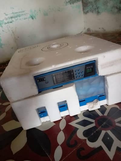 chicken egg incubator
