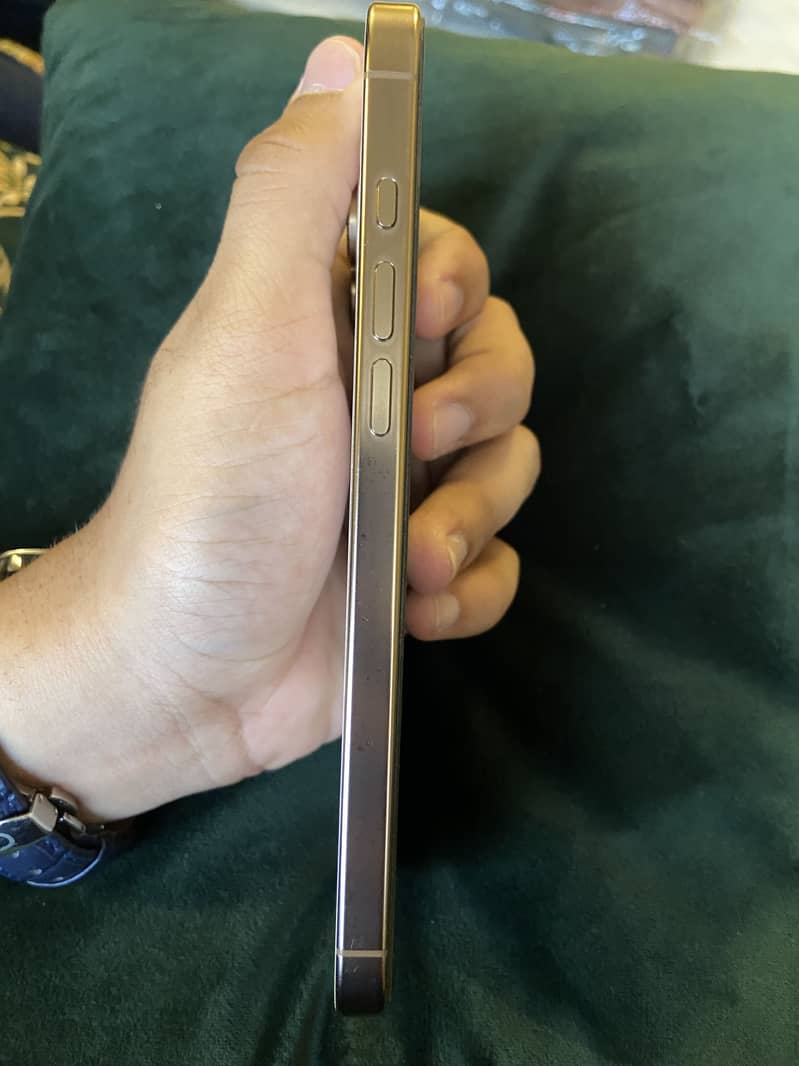 Apple iPhone 16 Pro Max 3