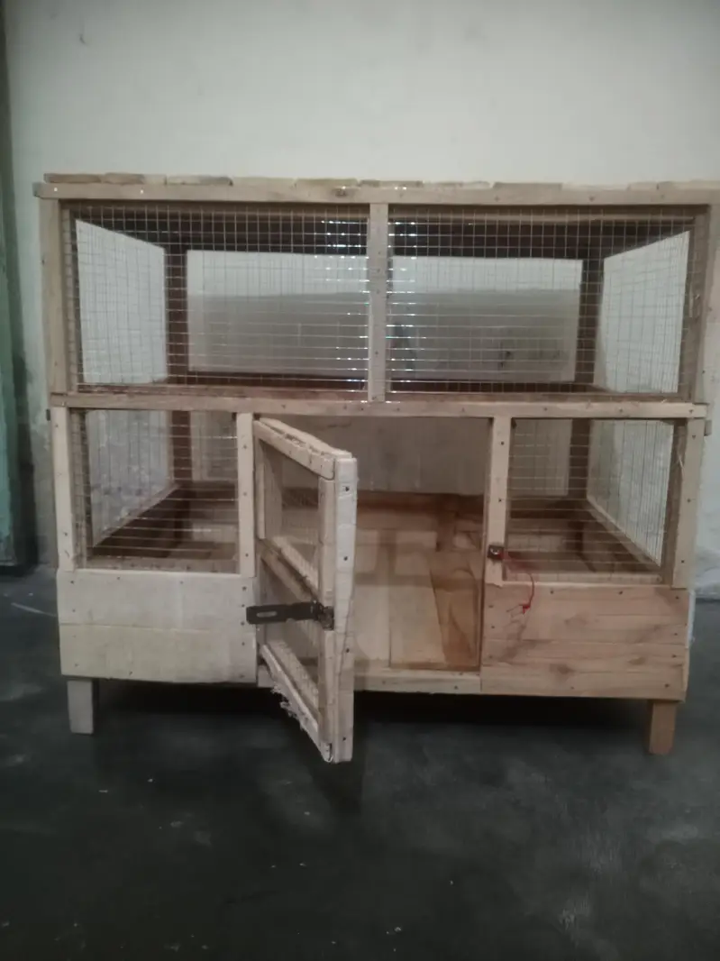 hen's cage
