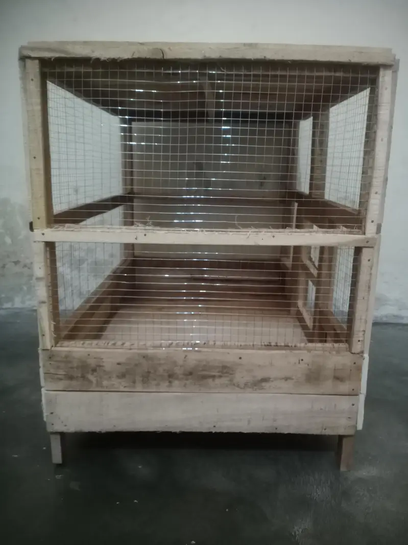 hen's cage — photo 2