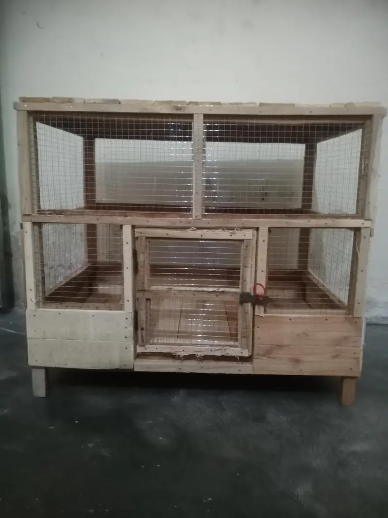hen's cage — photo 5