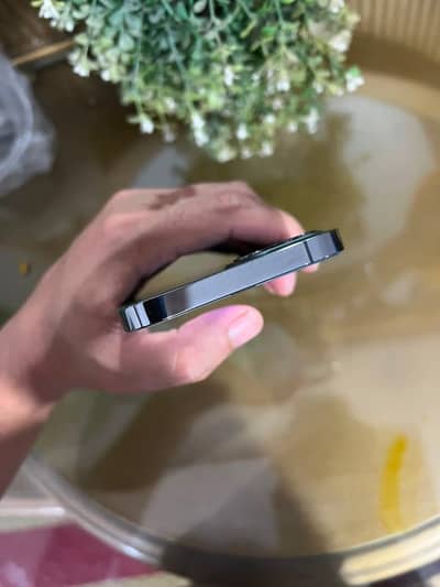 Apple iPhone 12 Pro