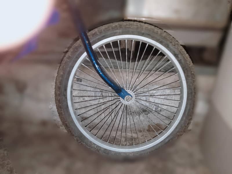 cycle 2