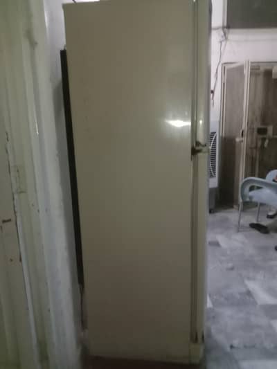 PEL two door frizer