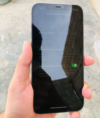 Apple iPhone 12 pro max