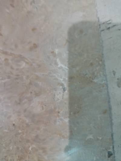 aqarium sand