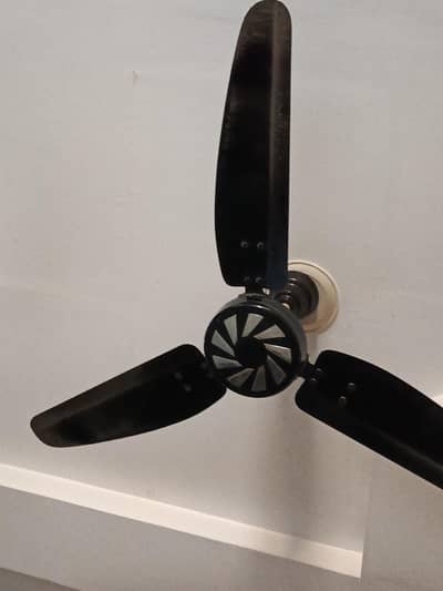 Royal Ceiling Fans