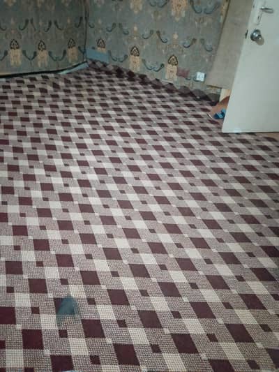 Home Carpet with foam