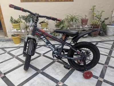 Bicycle for sale