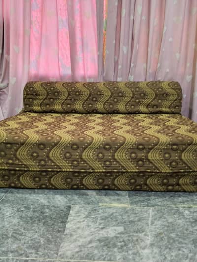 Molty Foam Sofa Cum Bed
