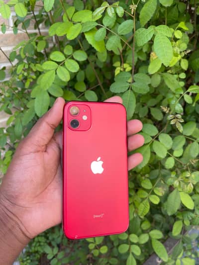 Apple iPhone 11