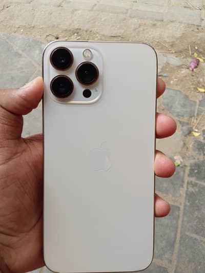 Apple iPhone 13 Pro Max
