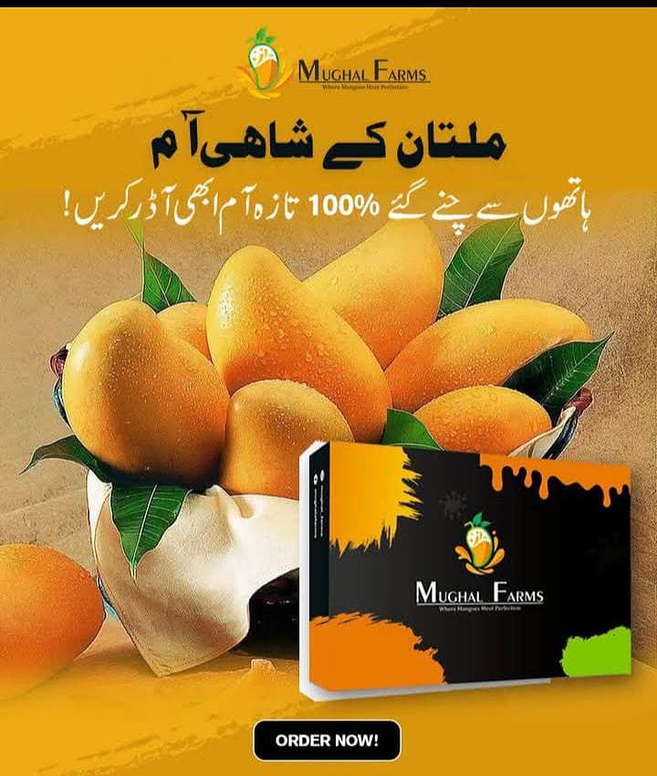 Mango  0