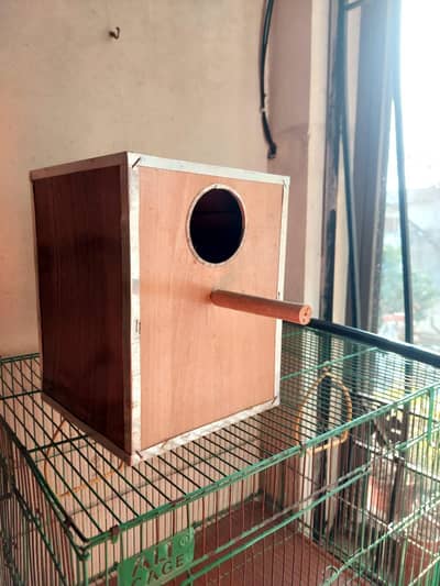 parrots cage +Birding box