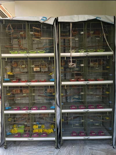 Brand New - Premium Heavy-Duty Bird Breeding Cage Racks