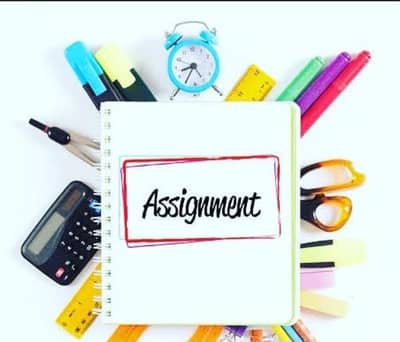 assignment writing