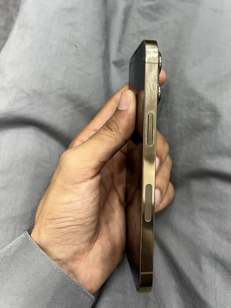 iPhone 13 Pro 0