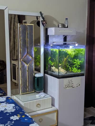 PLANTED IMPORTED AQUARIUM FOR SALE WHOLE SETUP