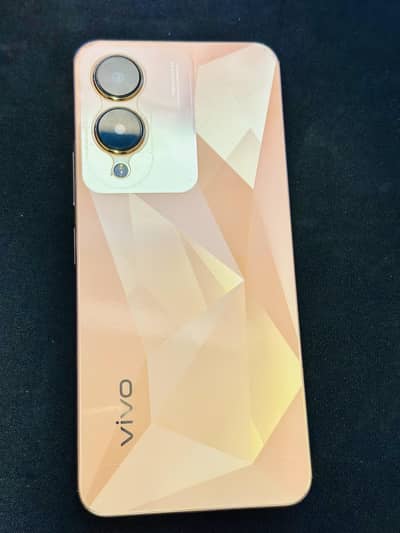 Vivo Y17s