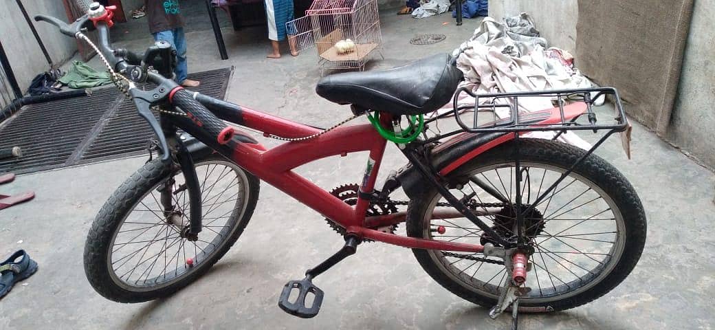 Cycle 4