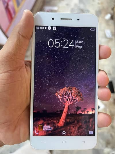 vivo y66