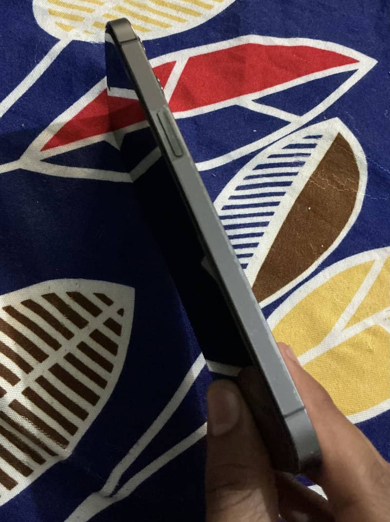 Apple iPhone 12 Pro Max 1