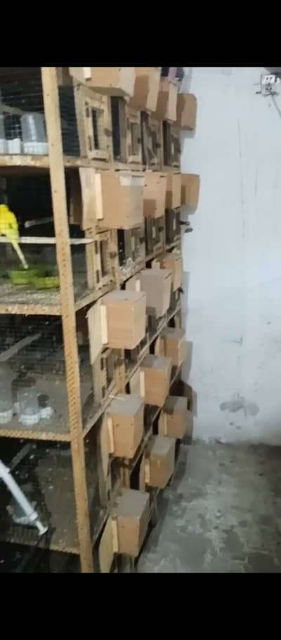 Small wooden cages