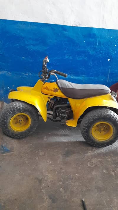 Mini Bike