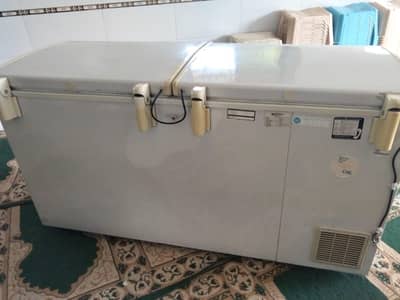 deep Freezer urgent sale
