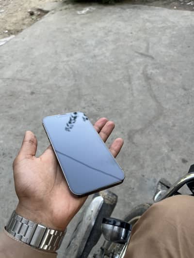 Apple iPhone 13 Pro Max