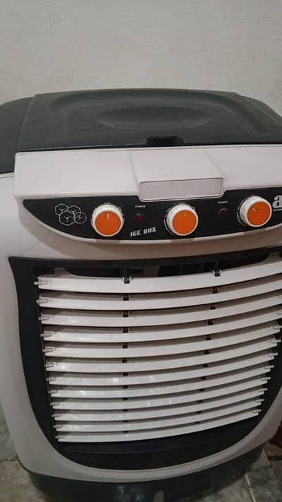 cooler for salee 03161234865