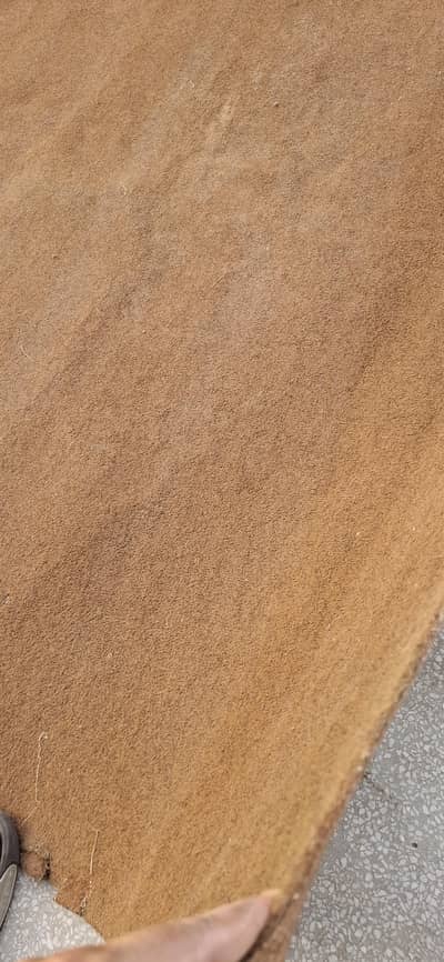 Big Size Room Carper For Sale - 03461036530