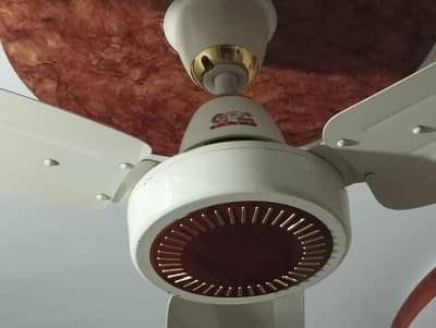 GFC Ceiling Fans Available in excellent condition