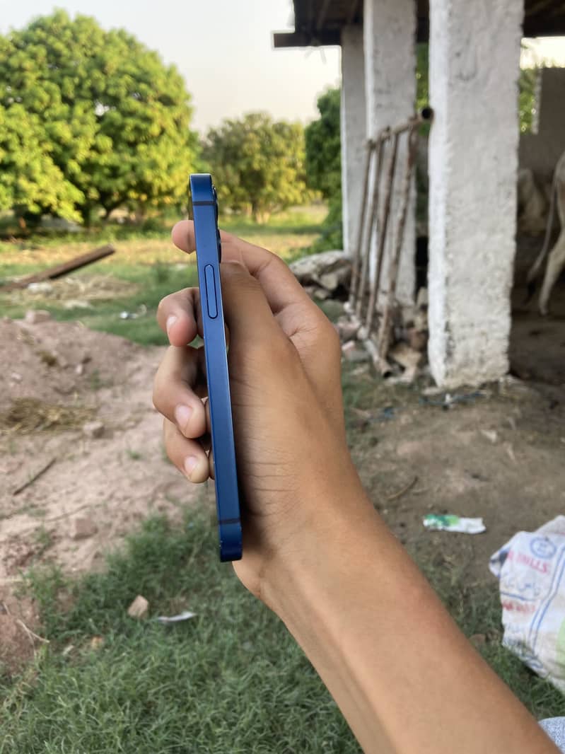 Apple iPhone 12 mini 2