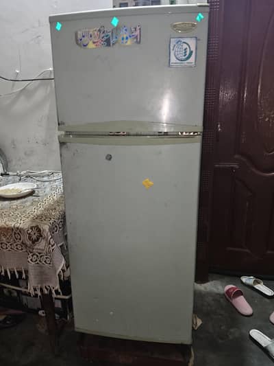 Singer Fridge