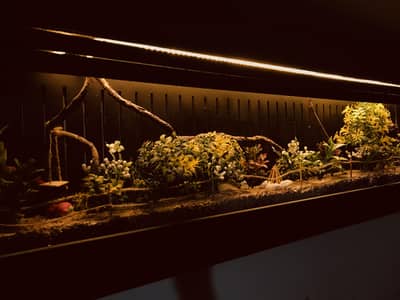wall hanging miniature garden lamp