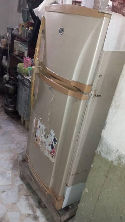 Pel fridge for sale