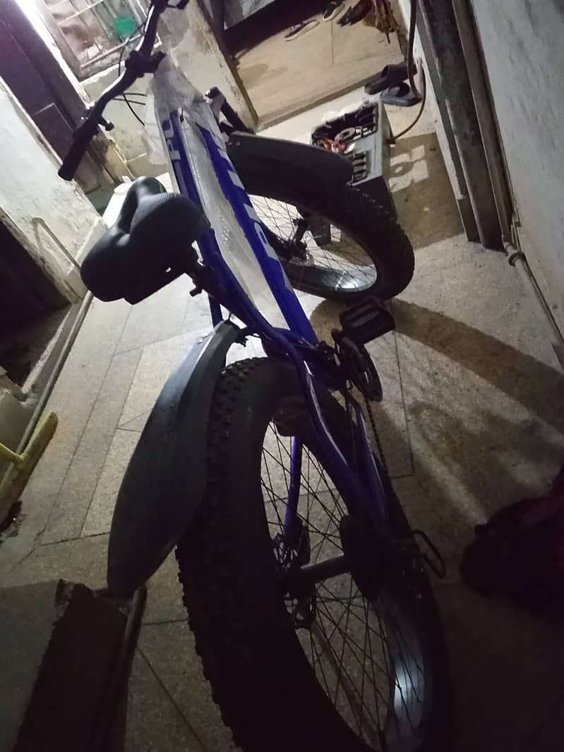 Fat cycle 10/10 condition 1