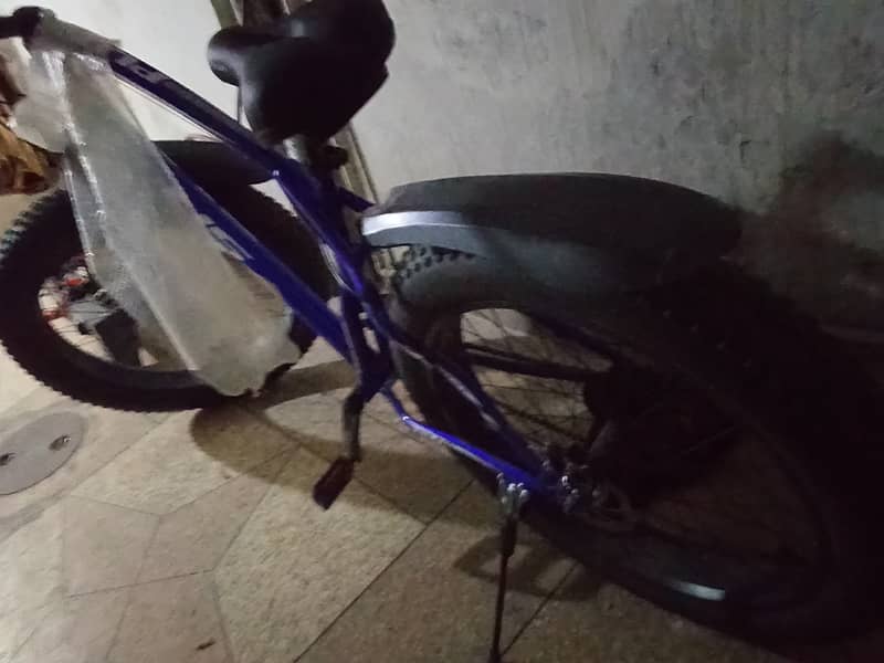 Fat cycle 10/10 condition 2