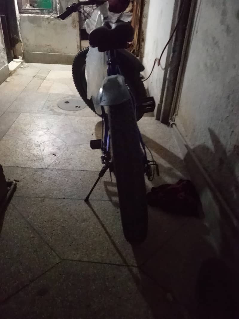 Fat cycle 10/10 condition 3