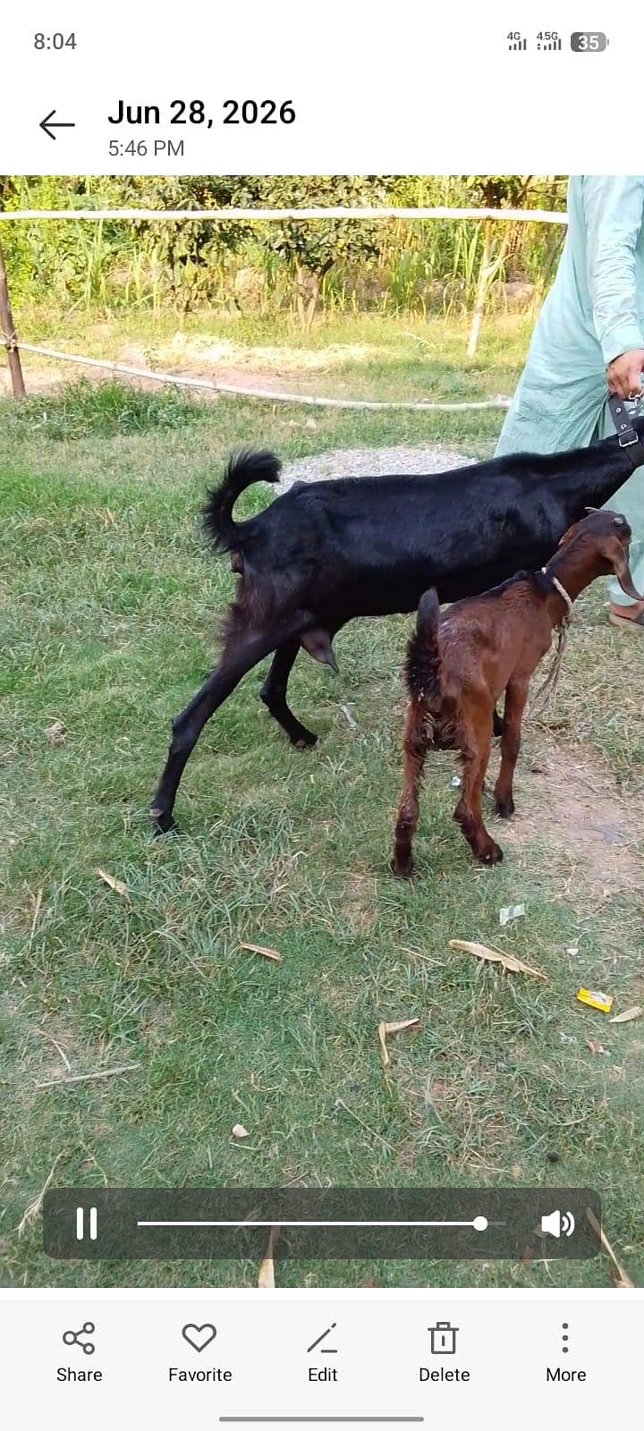 bakri 0