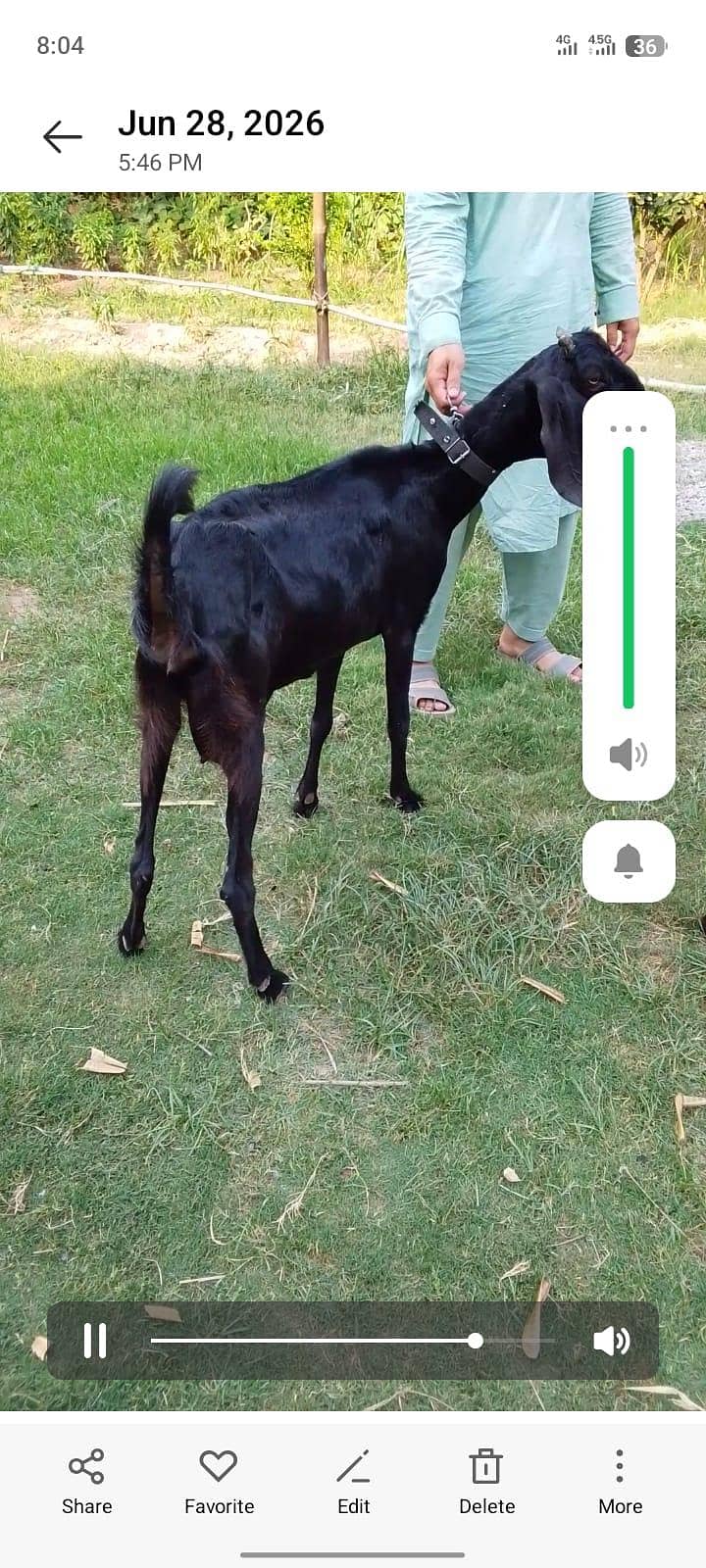 bakri 1