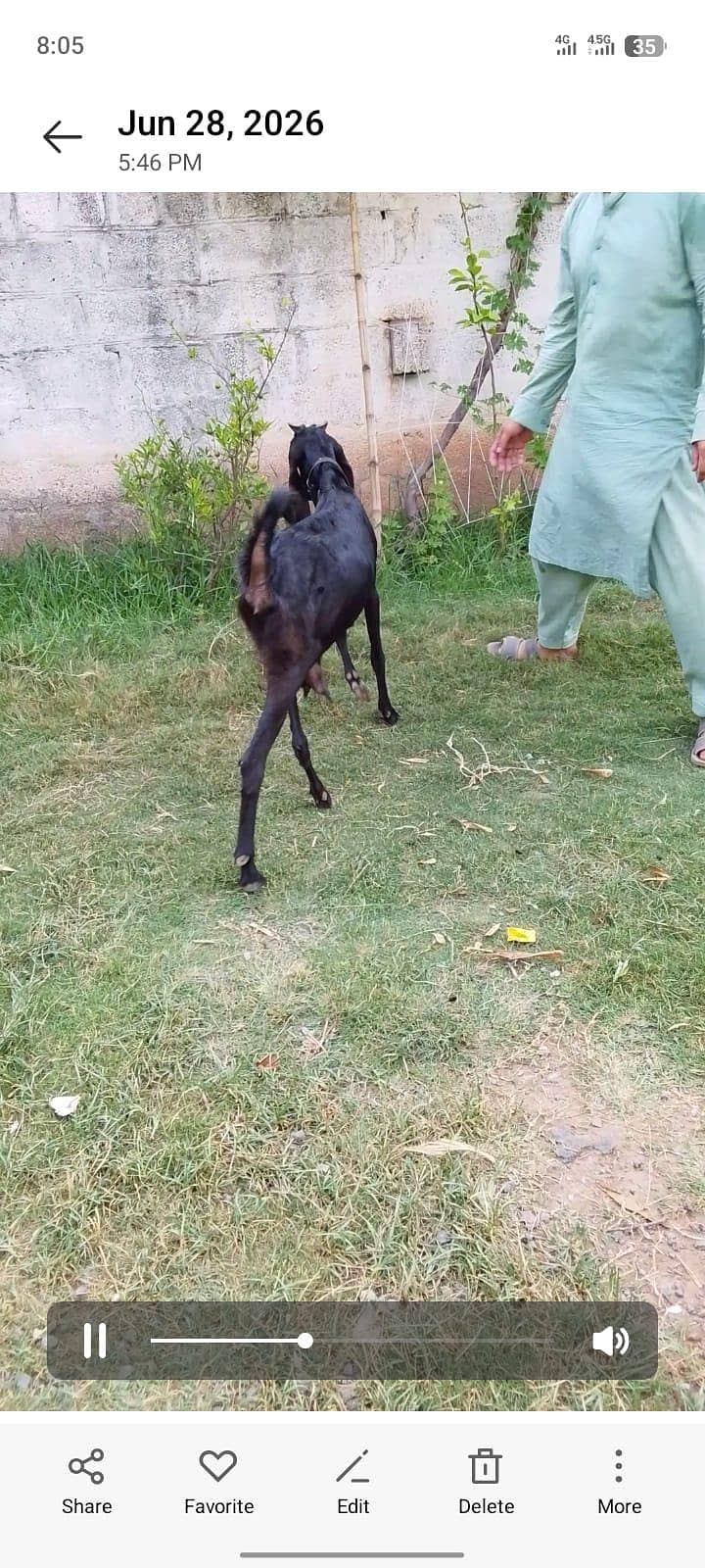 bakri 2